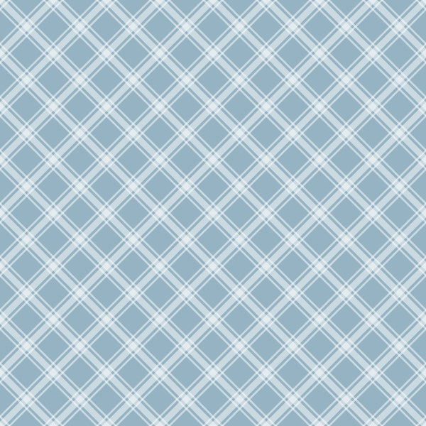 Light blue and white crisscrossing plaid pattern with diagonal lines forming diamond shapes.
