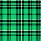 Green and black plaid pattern with intersecting lines forming squares.