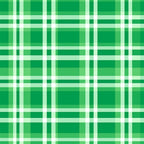 Green and white plaid pattern with intersecting horizontal and vertical lines.