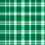 Green and white plaid pattern with intersecting horizontal and vertical lines.