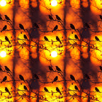 Sunset Bird Pattern 4 Minky Fabric