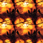 Sunset Bird Pattern 5 Minky Fabric