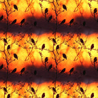 Sunset Bird Pattern 8 Minky Fabric