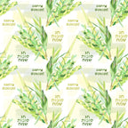 Repeated pattern of green lulav branches with the text Happy Sukkot in English and Hebrew on a light background.