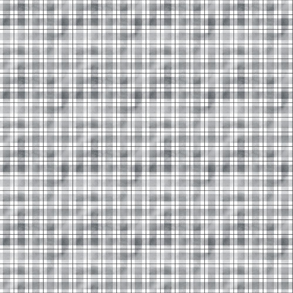 gray plaid, white plaid, checkered pattern, gingham design, watercolor effect, soft gradients, lumber jack, rustic style,, fabric panel, geometric blocks, monochrome palette, country aesthetic, outdoor theme, masculine design, crafting material, patchwork squares, textured appearance