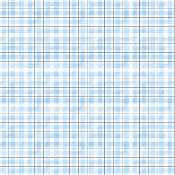 watercolor plaid, blue gingham, light blue, pale blue, checkered pattern,, fabric panel, soft plaid, gingham checks, cotton fabric, crafting material, sewing fabric, quilting squares, checkered design, blue and white, geometric pattern, textile design, plaid motif