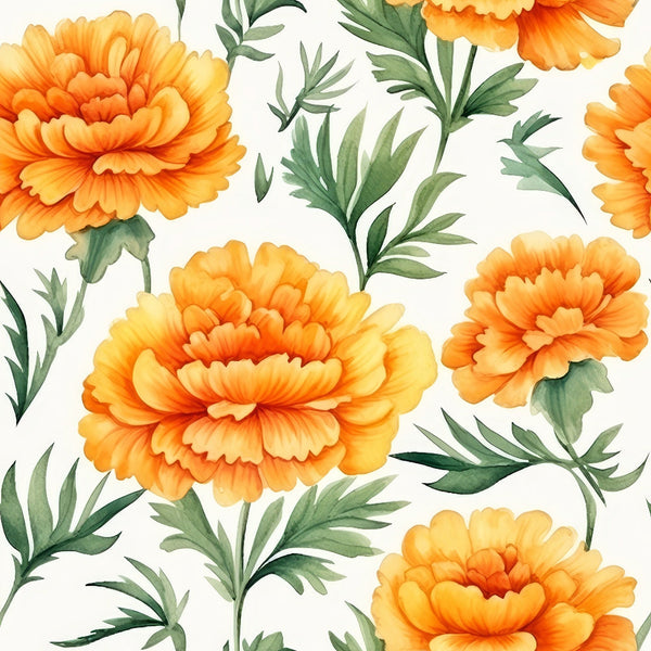 Illustration of bright orange marigold flowers with lush green leaves on a light background.