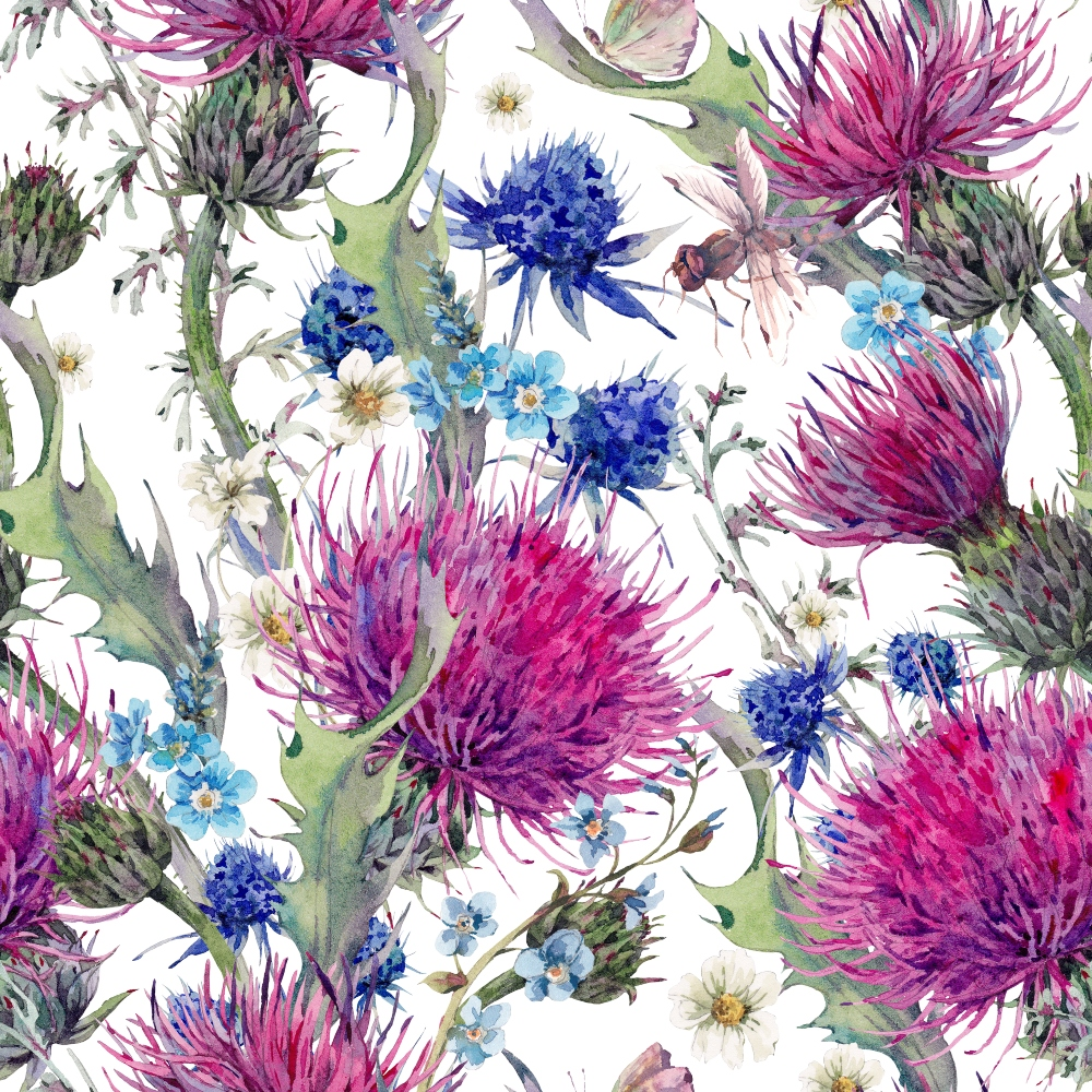 Illustration of a floral pattern featuring pink thistles, blue cornflowers, and small white flowers on a white background.