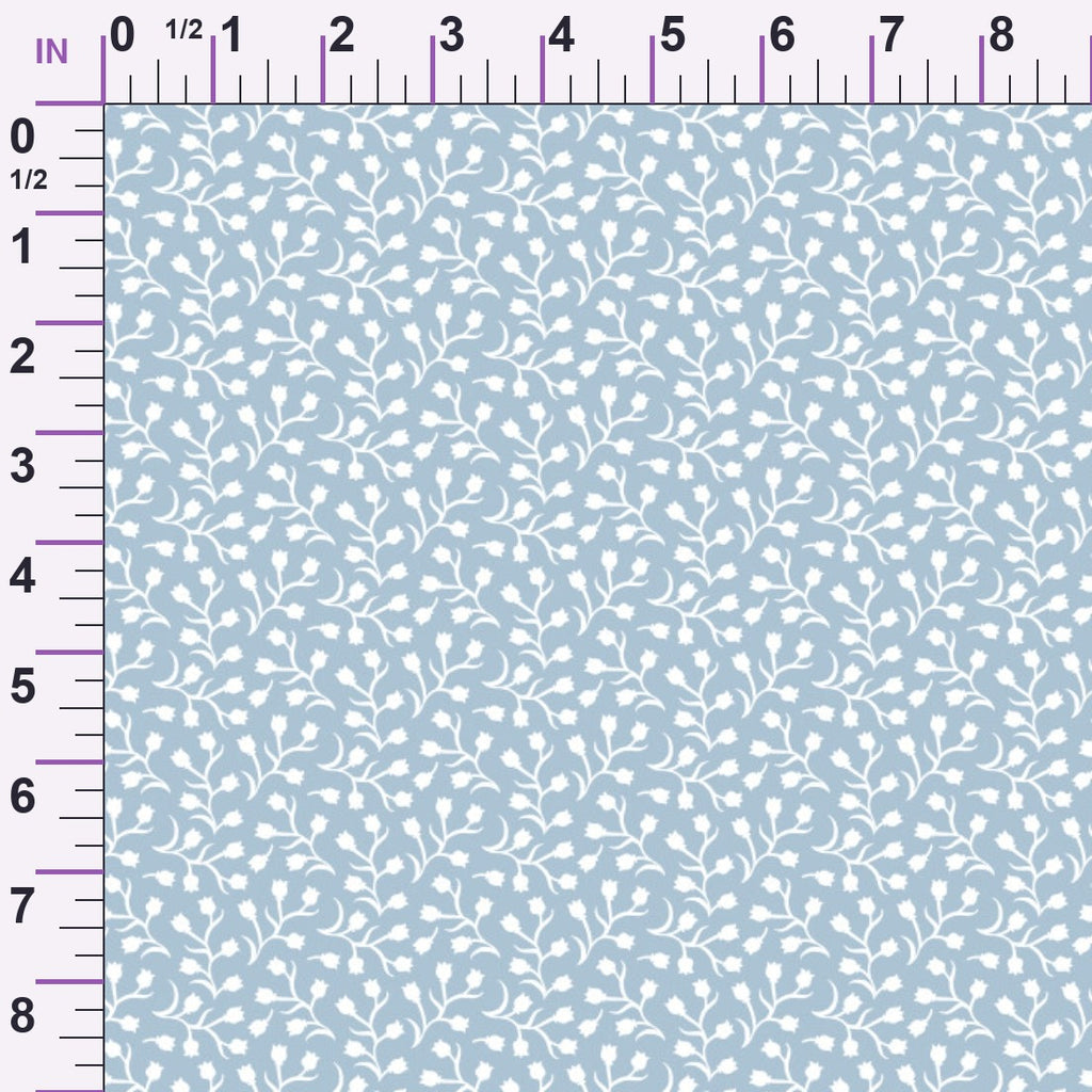 ruler-scale (auto)