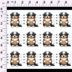 ruler-scale (auto)
