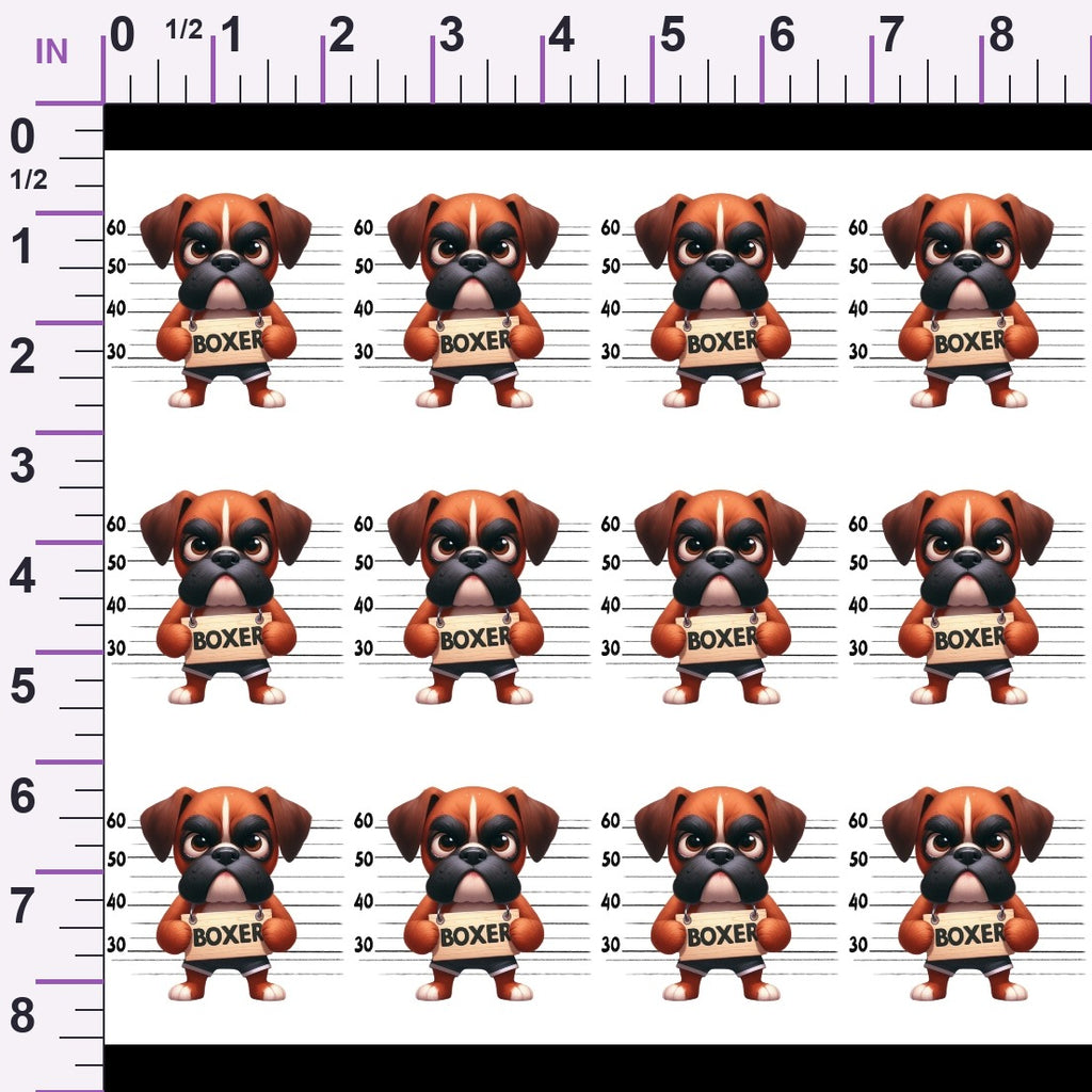 ruler-scale (auto)