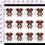 ruler-scale (auto)