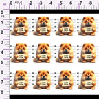 ruler-scale (auto)