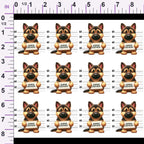 ruler-scale (auto)