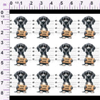 ruler-scale (auto)