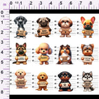 ruler-scale (auto)