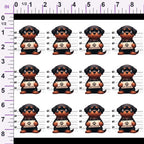 ruler-scale (auto)