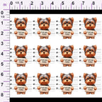 ruler-scale (auto)