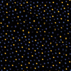 Hanukkah Gifts Pattern 10 Minky Fabric — plush minky folded close-up preview (mv-minky-v1:lying)