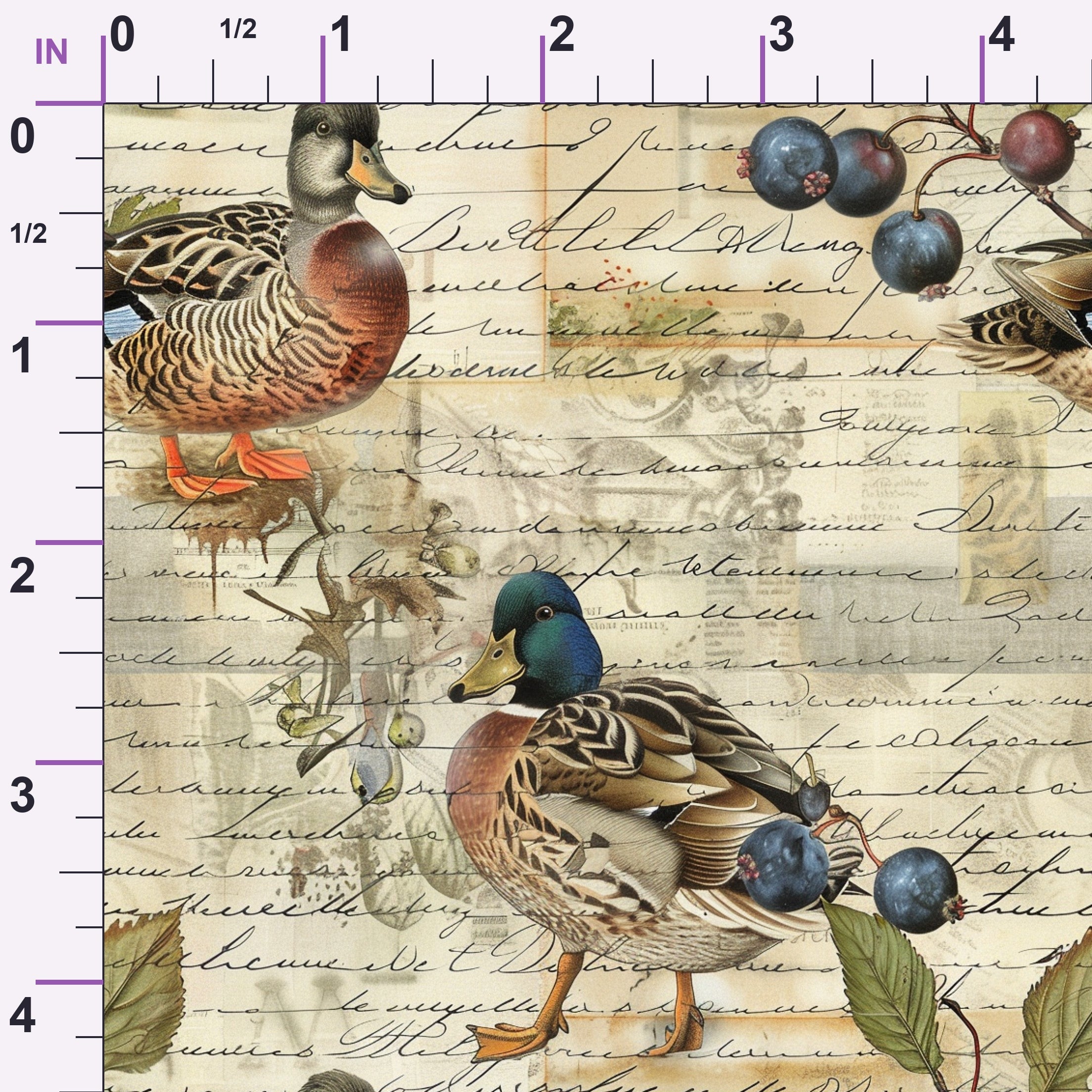 ruler-scale (auto)