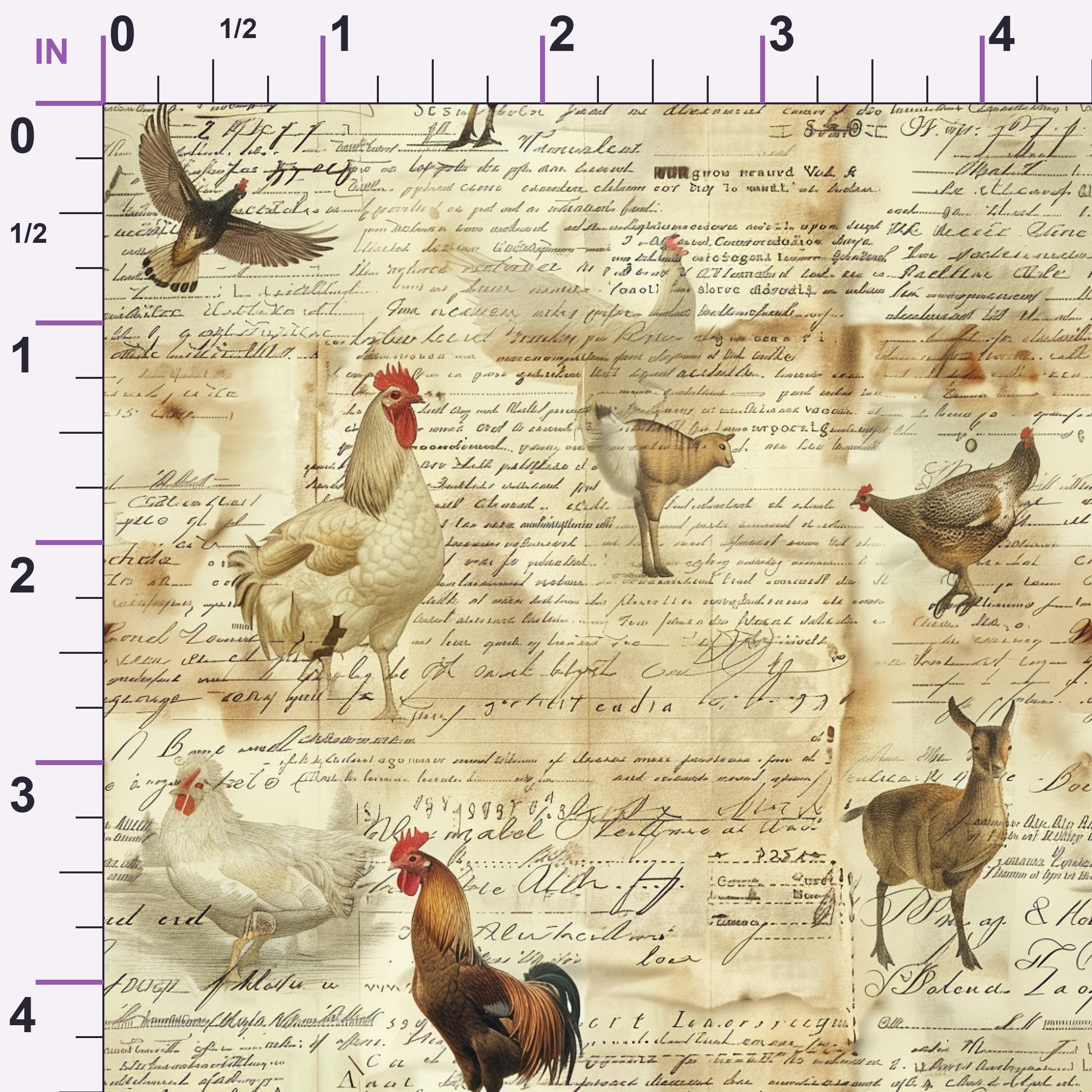 ruler-scale (auto)