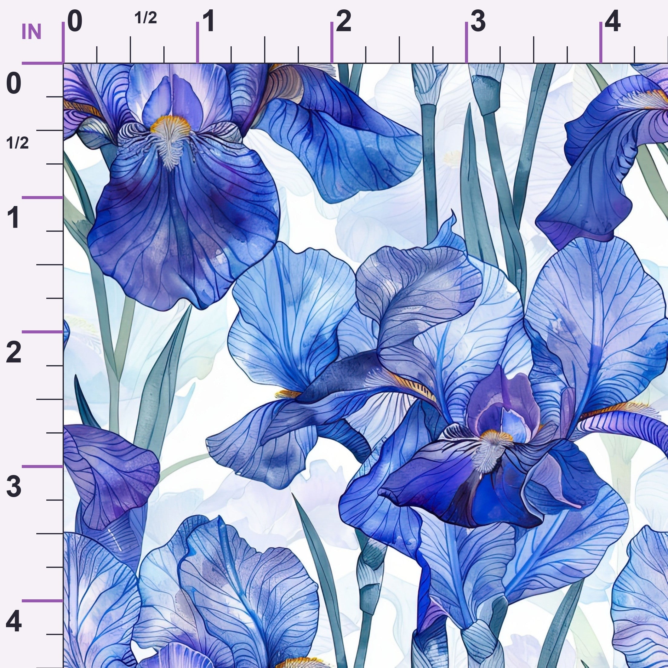 ruler-scale (auto)
