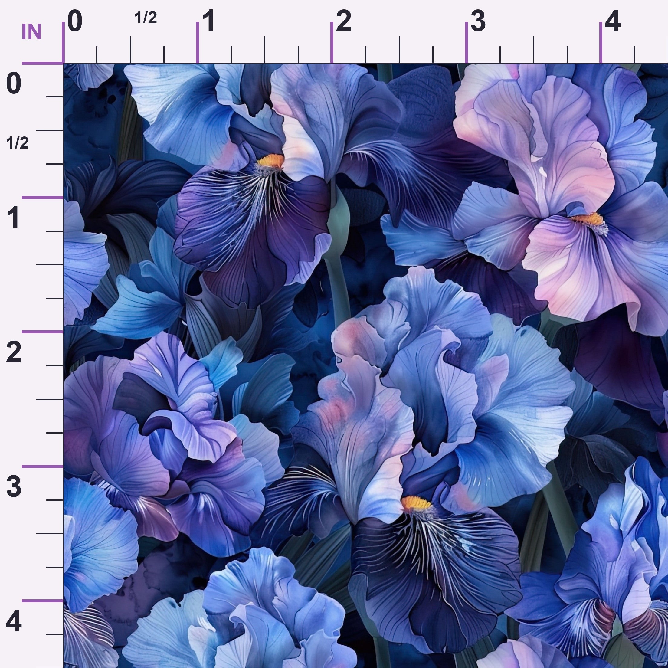 ruler-scale (auto)