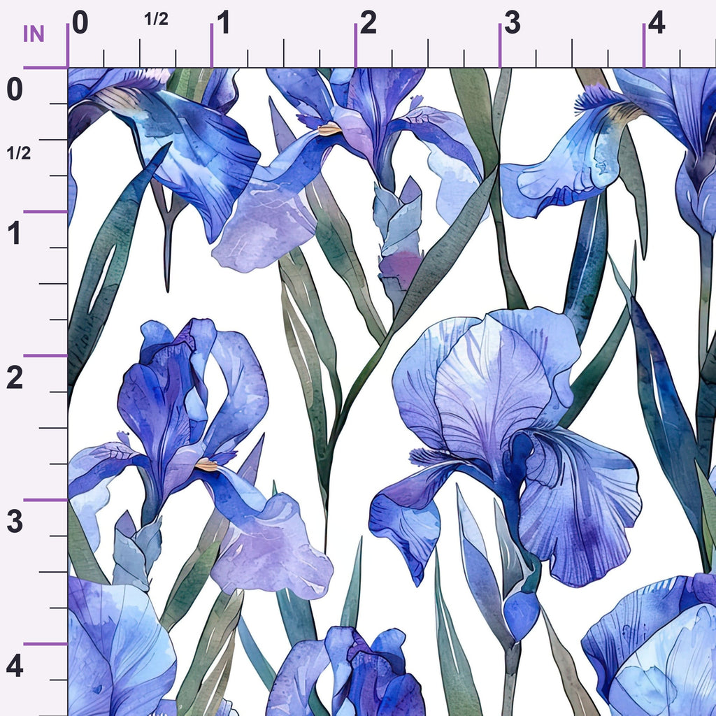 ruler-scale (auto)