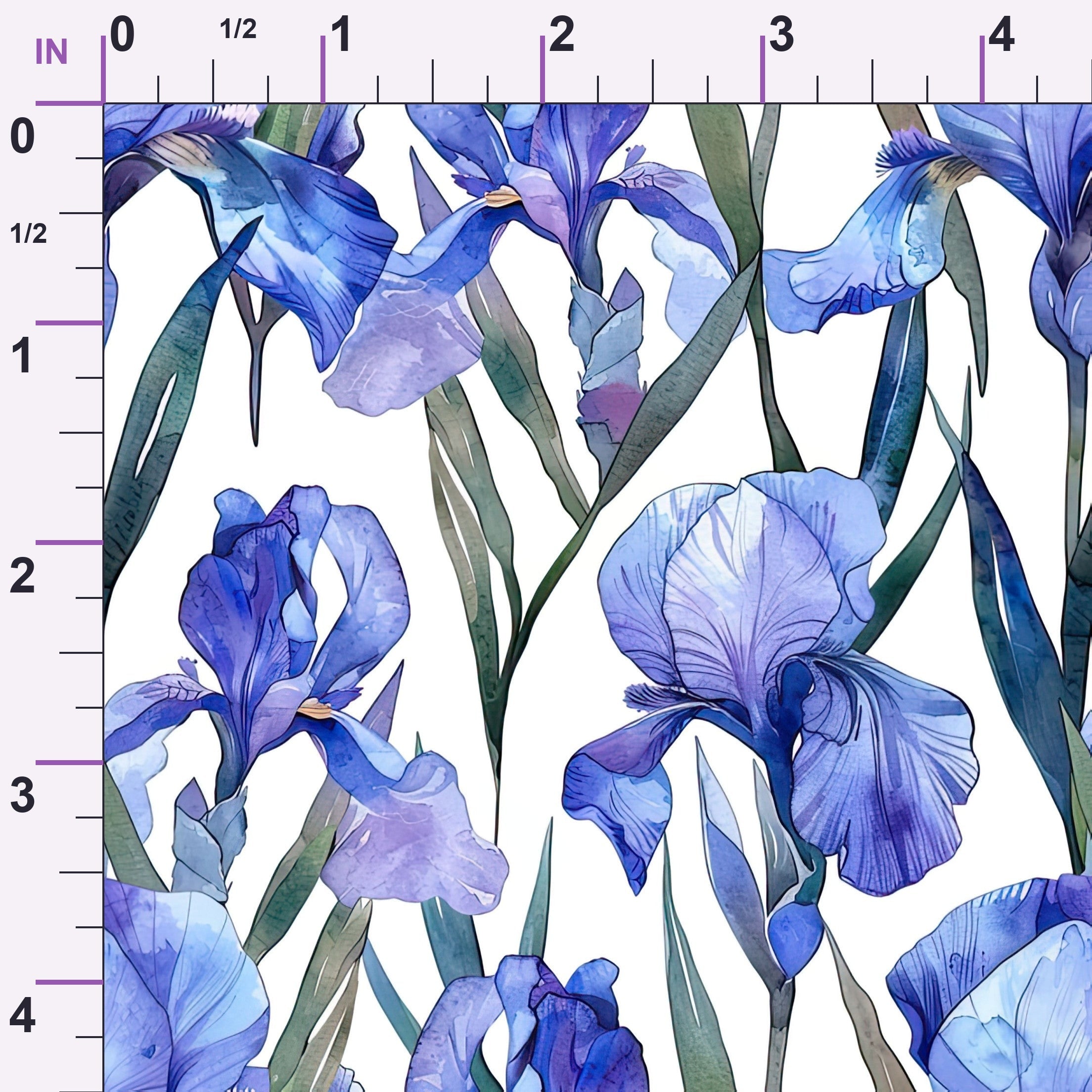 ruler-scale (auto)