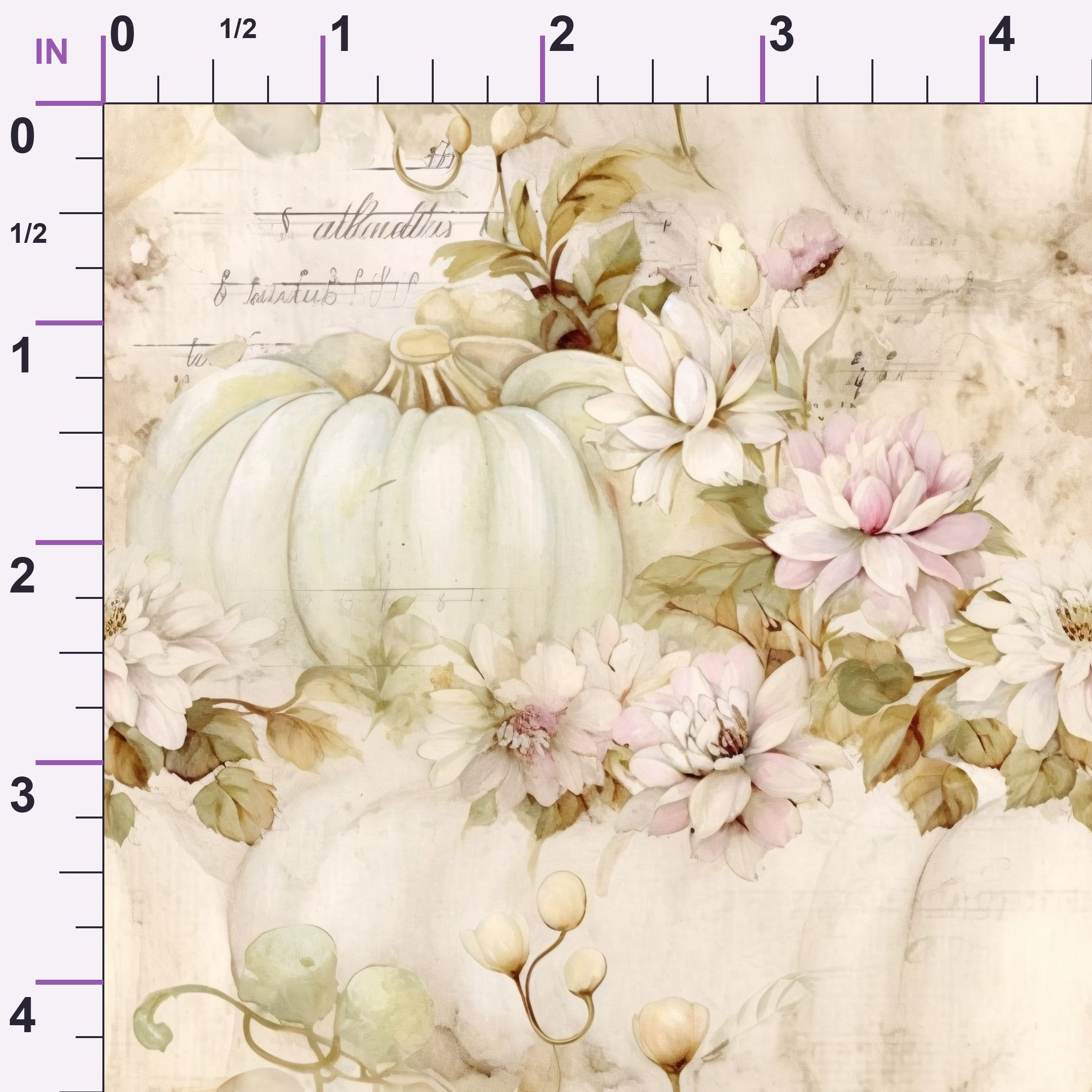 ruler-scale (auto)