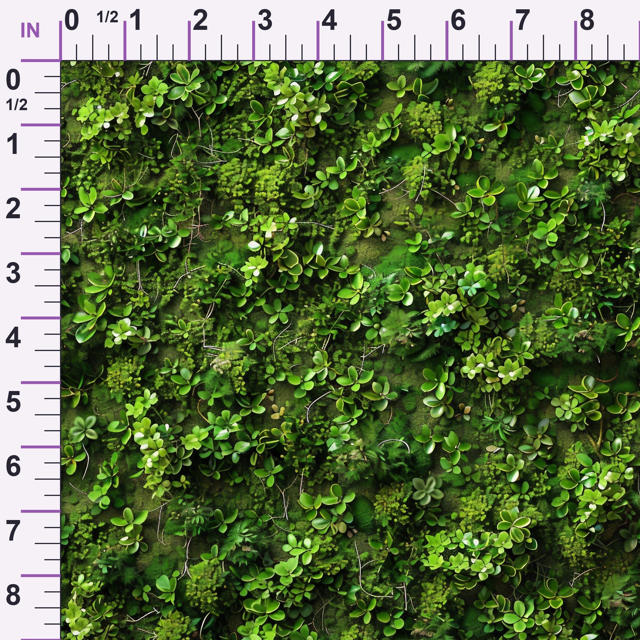 ruler-scale (auto)