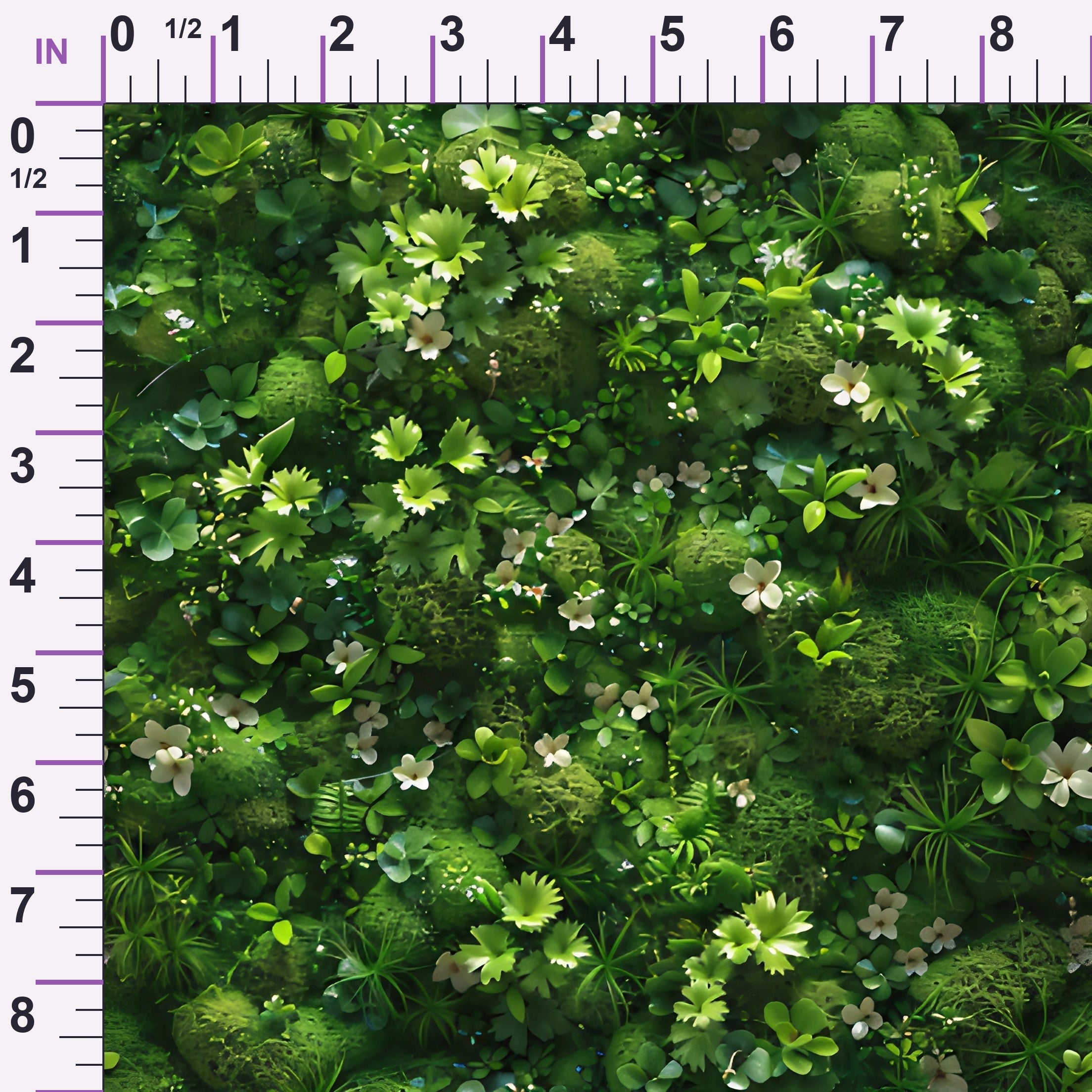 ruler-scale (auto)