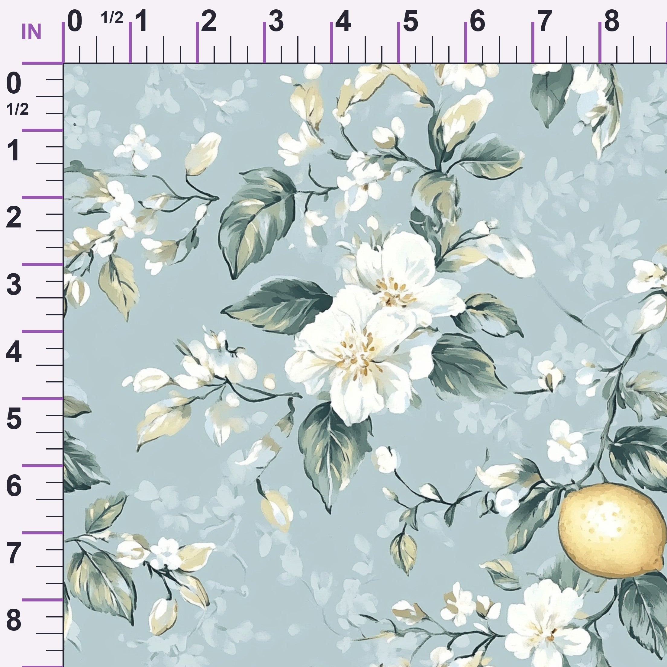 ruler-scale (auto)