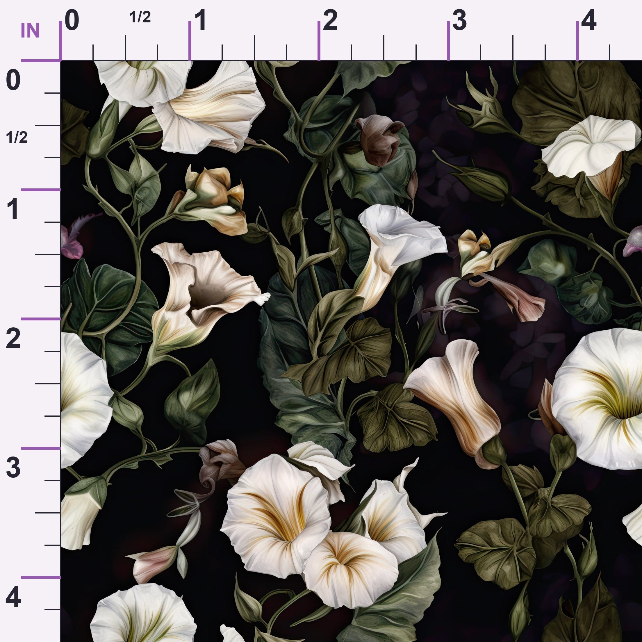 ruler-scale (auto)