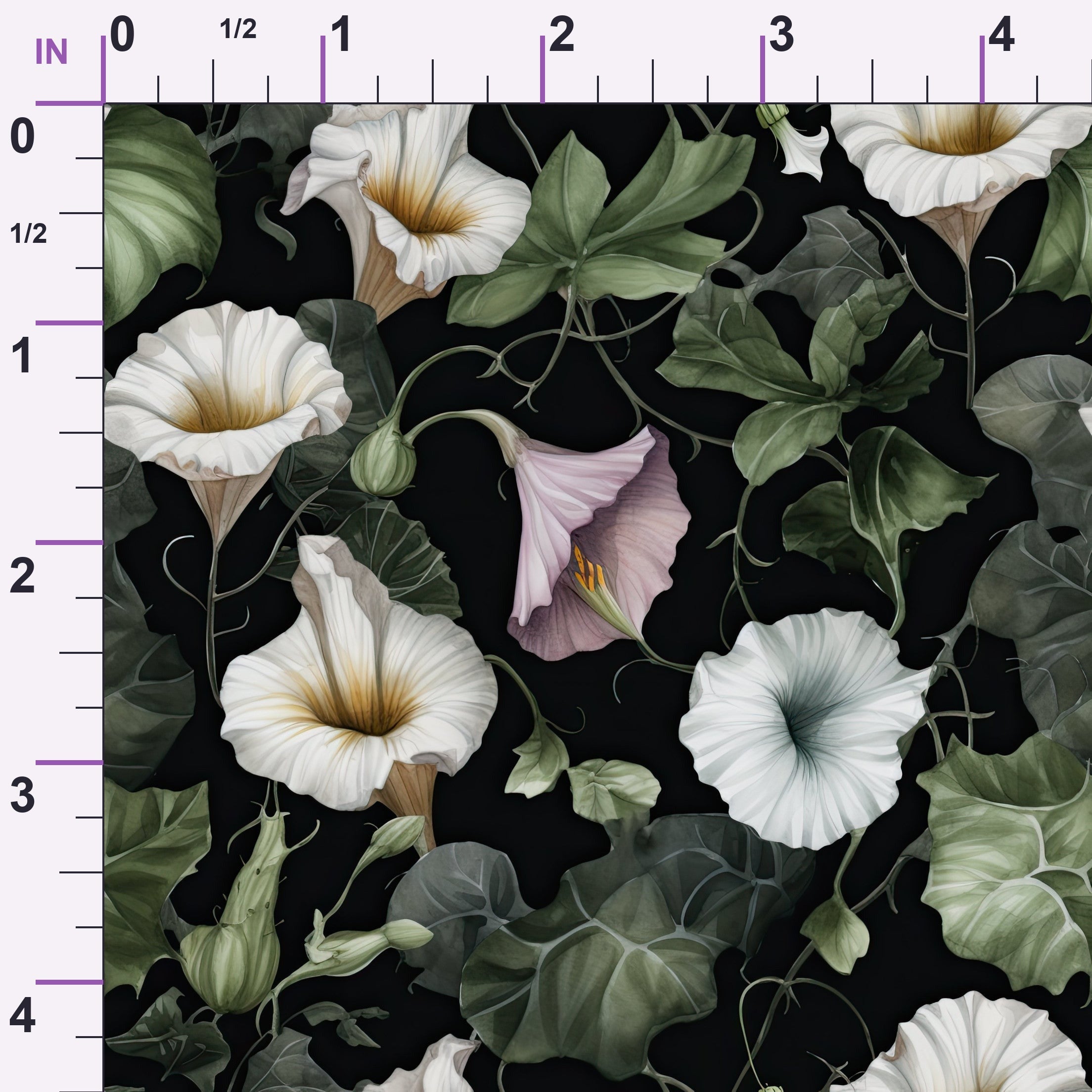 ruler-scale (auto)