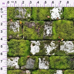 ruler-scale (auto)