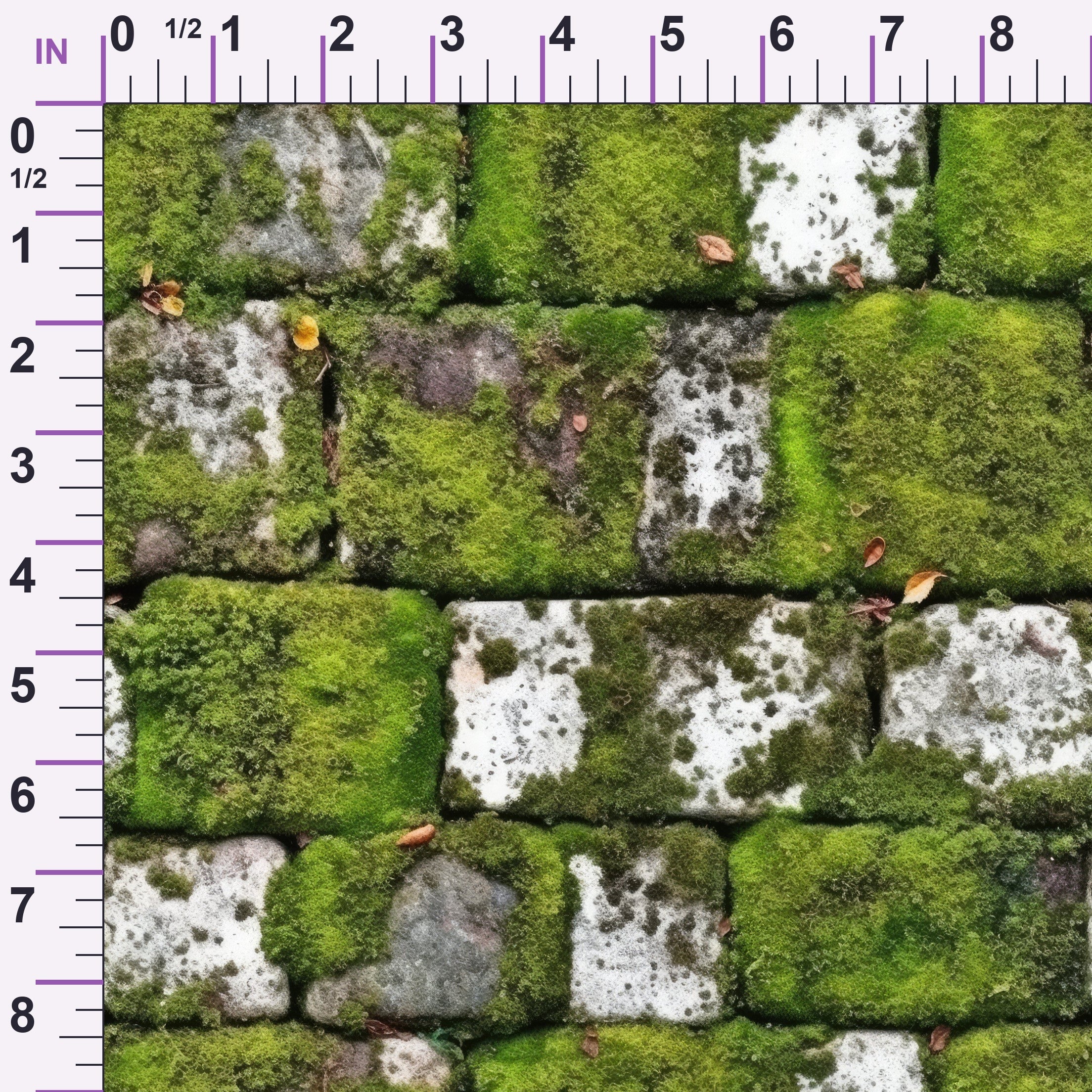 ruler-scale (auto)