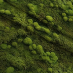 Moss Textures Pattern 10 Minky Fabric — plush minky folded close-up preview (mv-minky-v1:lying)