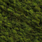 Moss Textures Pattern 12 Minky Fabric — plush minky folded close-up preview (mv-minky-v1:lying)