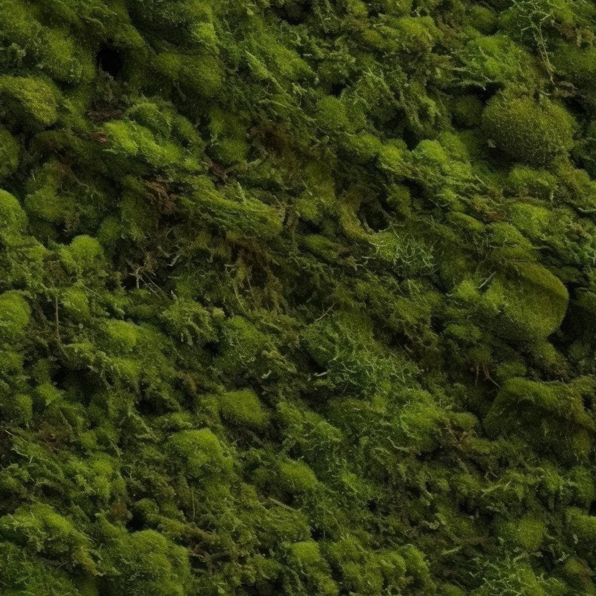 Moss Textures Pattern 12 Minky Fabric — plush minky folded close-up preview (mv-minky-v1:lying)