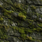 Moss Textures Pattern 2 Minky Fabric — plush minky folded close-up preview (mv-minky-v1:lying)