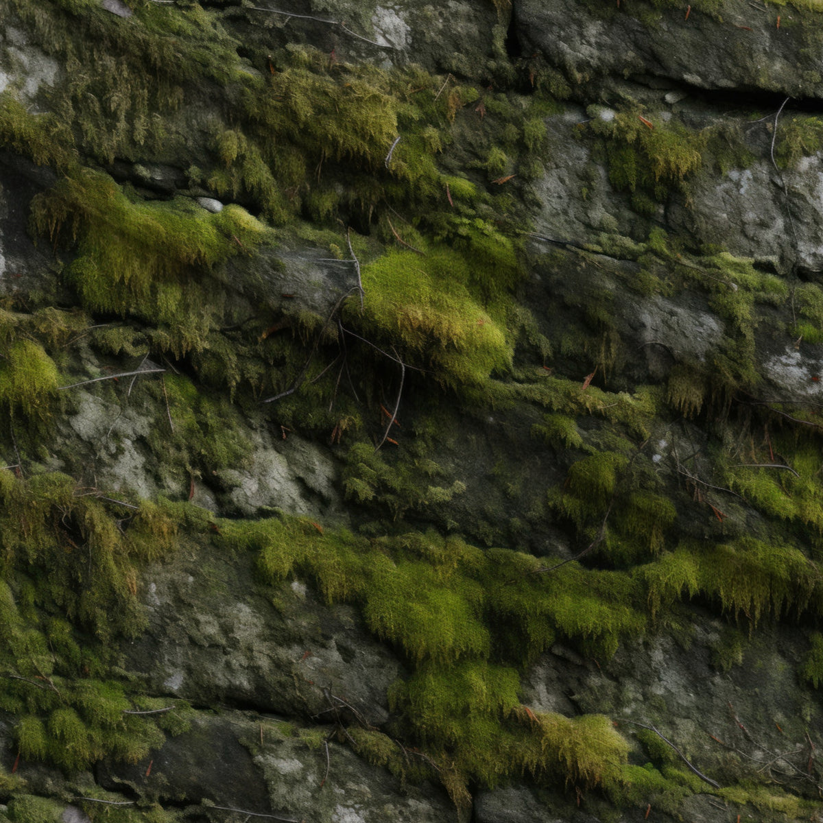 Moss Textures Pattern 2 Minky Fabric — plush minky folded close-up preview (mv-minky-v1:lying)