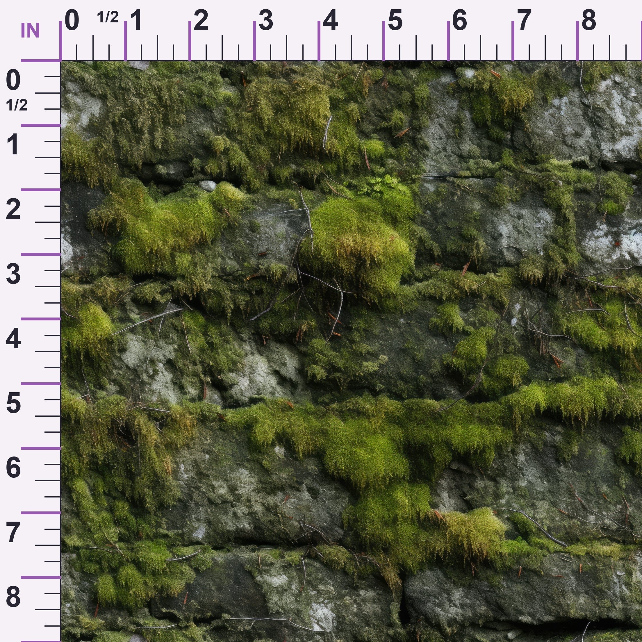 ruler-scale (auto)