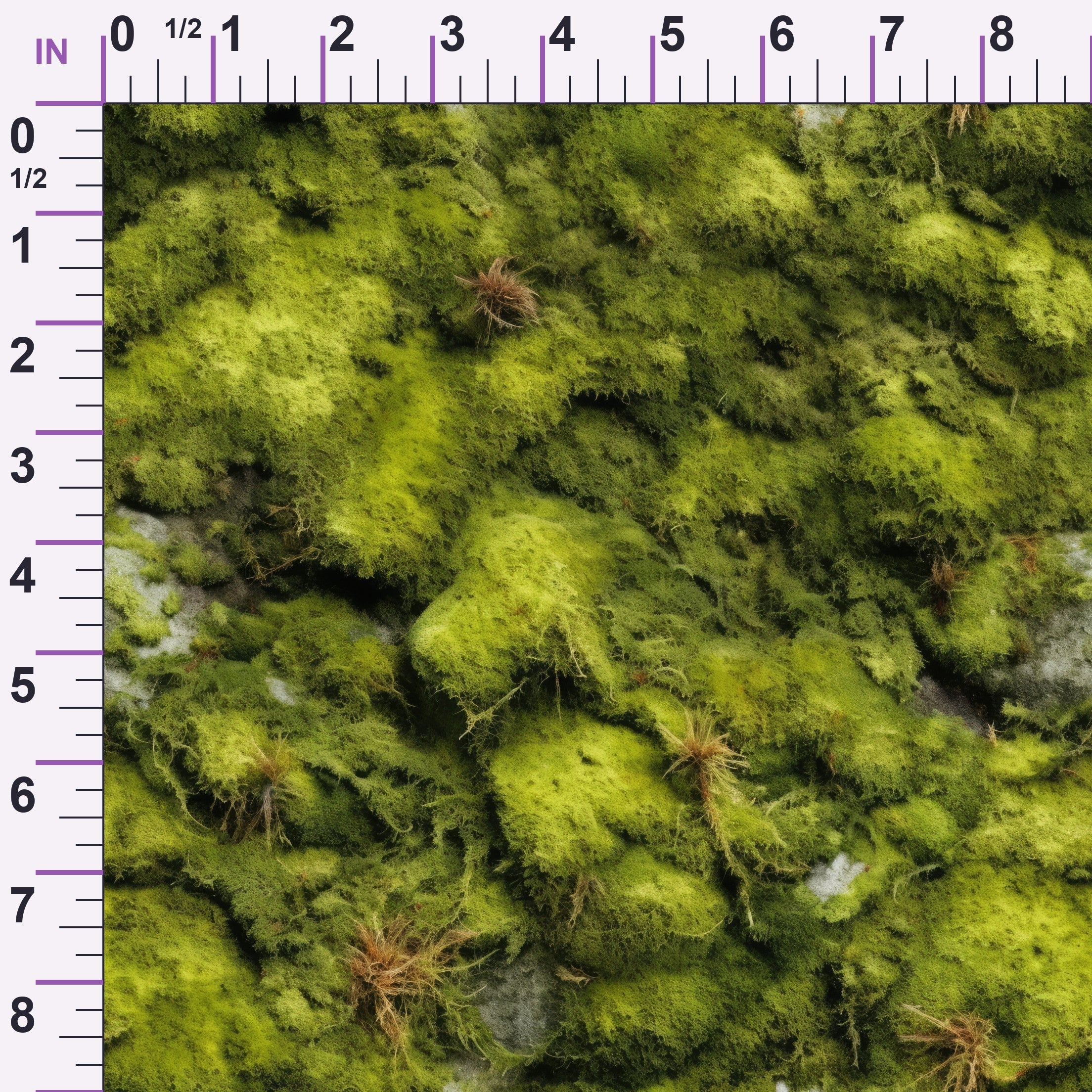 ruler-scale (auto)