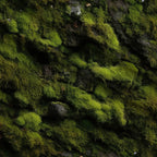 Moss Textures Pattern 4 Minky Fabric — plush minky folded close-up preview (mv-minky-v1:lying)