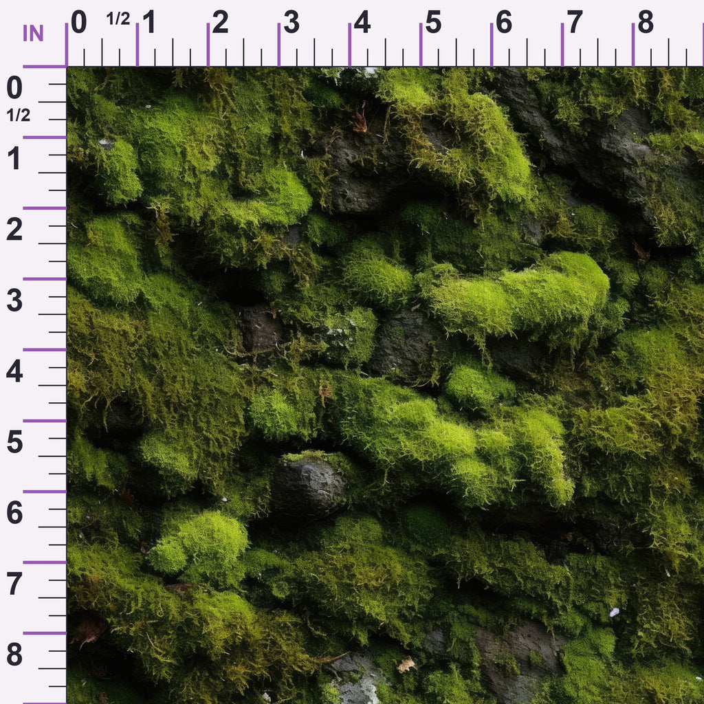 ruler-scale (auto)