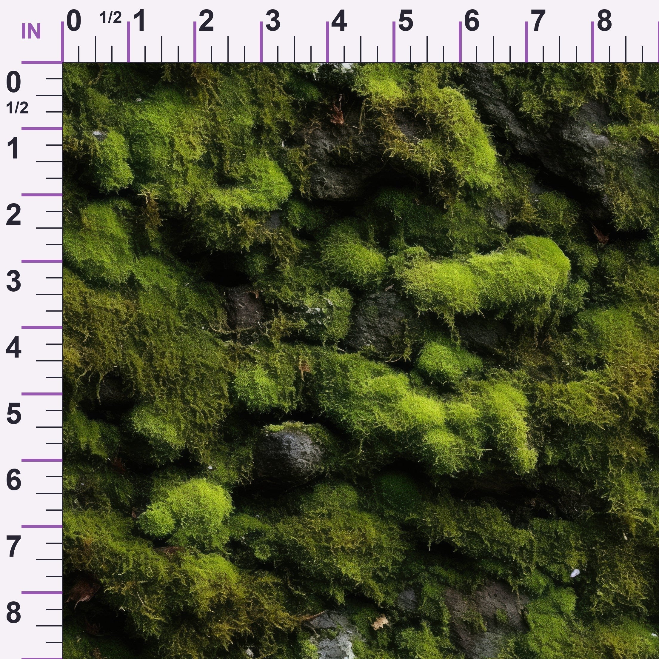 ruler-scale (auto)