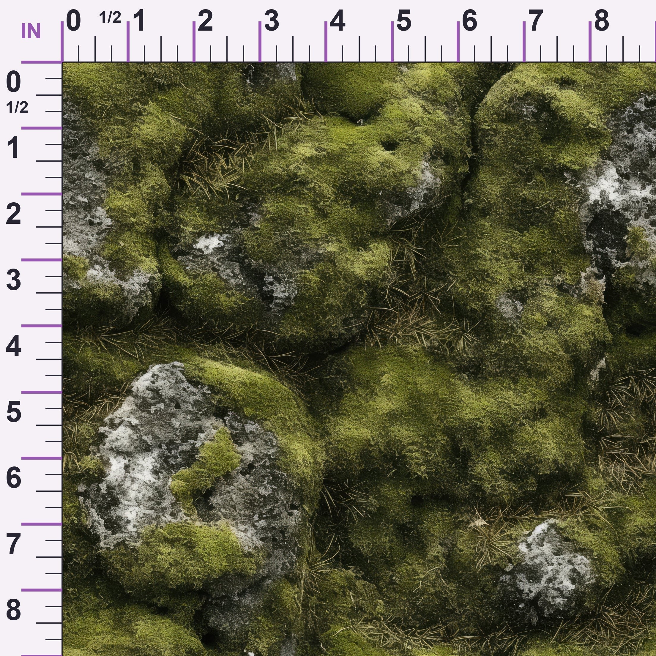 ruler-scale (auto)