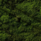 Moss Textures Pattern 6 Minky Fabric — plush minky folded close-up preview (mv-minky-v1:lying)