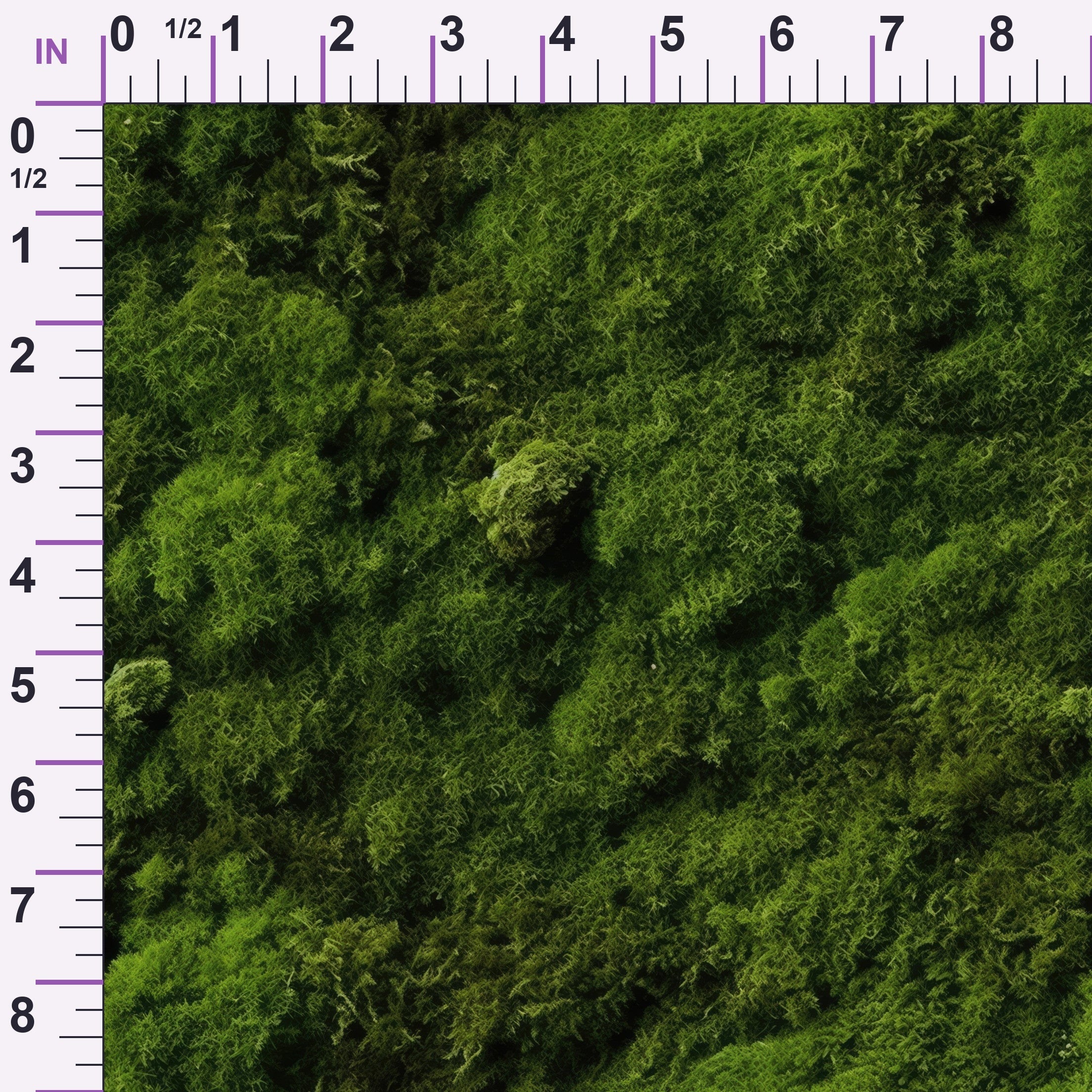 ruler-scale (auto)